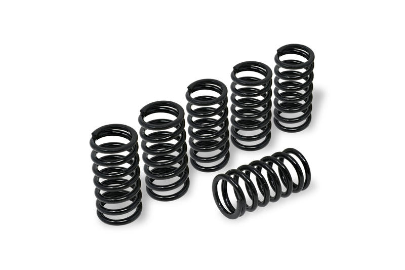 CNC Racing dry clutch spring kit