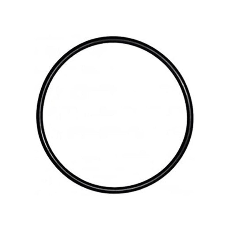 Ducati oil filter housing O ring V4