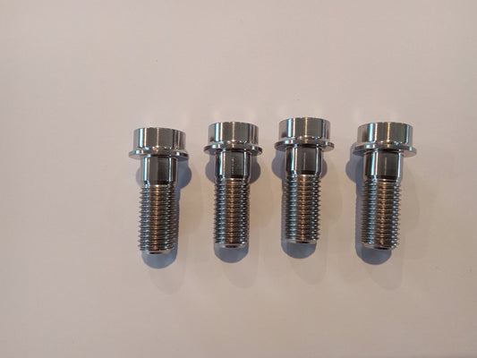 Gorlami titanium axial caliper bolts.